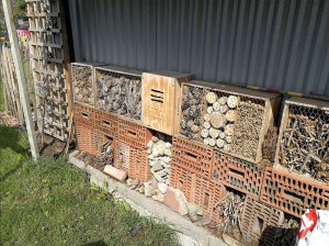 Insektenhotel verblijf voor insekten Persregio Dender