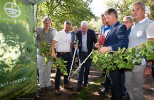 Natuurpunt heeft Kuizenbos geopend Persregio Dender